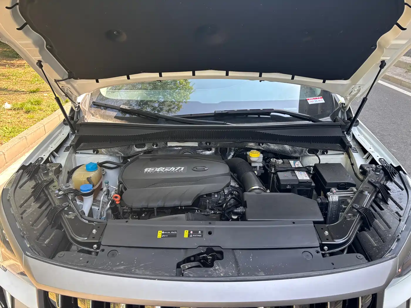 GAC Trumpchi Trumpchi GS4 PLUS 2023 390T Auto Nebula Edition фото 17