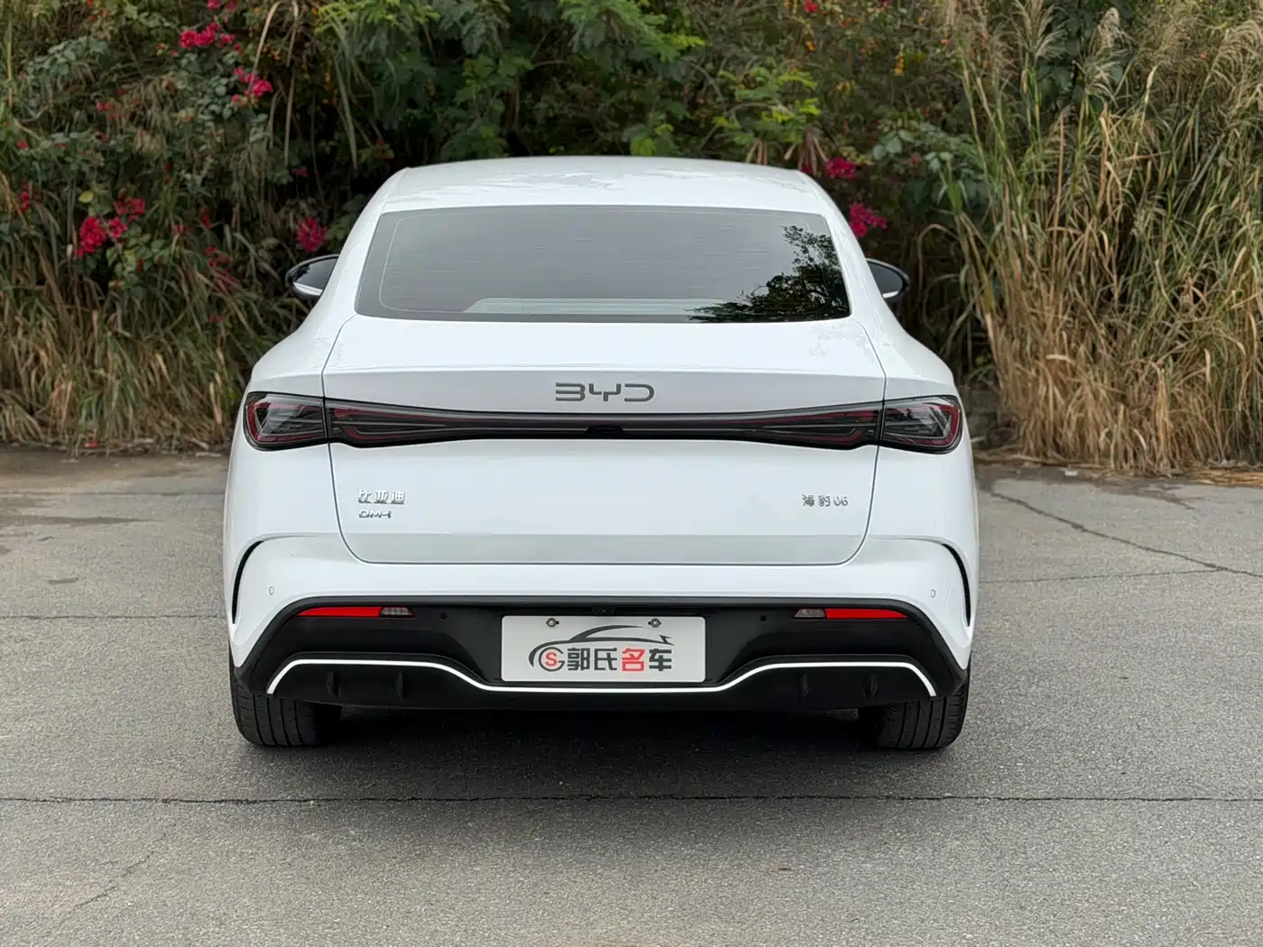 BYD SEAL 06 NEW ENERGY