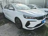 Фото 3 - Geely Binrui
