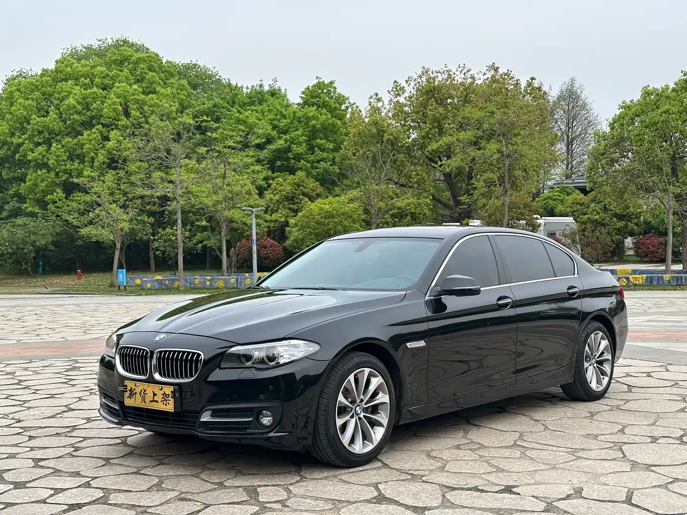 BMW 5 Series 2017 525Li Leading Edition фото 6