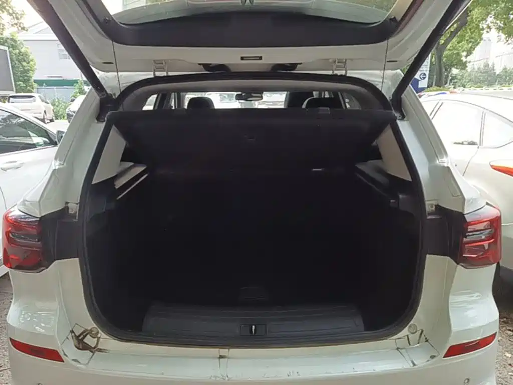 Roewe RX5 New Energy 2021 2020 ePLUS Guochao Ronglin Flagship Edition