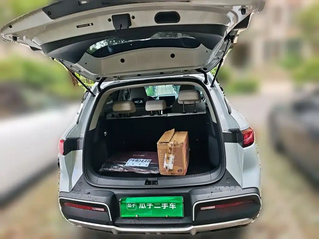 BYD Yuan UP 2026 2025 Smart Drive Edition 401KM Vitality Version