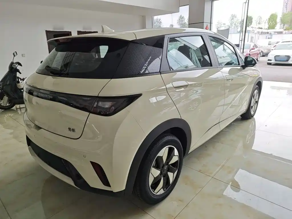 BYD Dolphin 2026 2025 420km Freedom Edition
