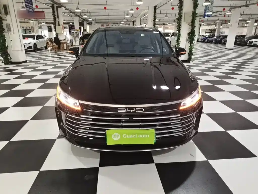 2025 BYD Destroyer 05