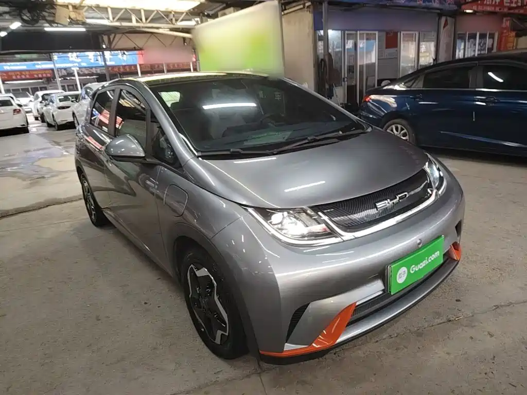 BYD Dolphin 2022 2021 Model 405km Fashion Edition