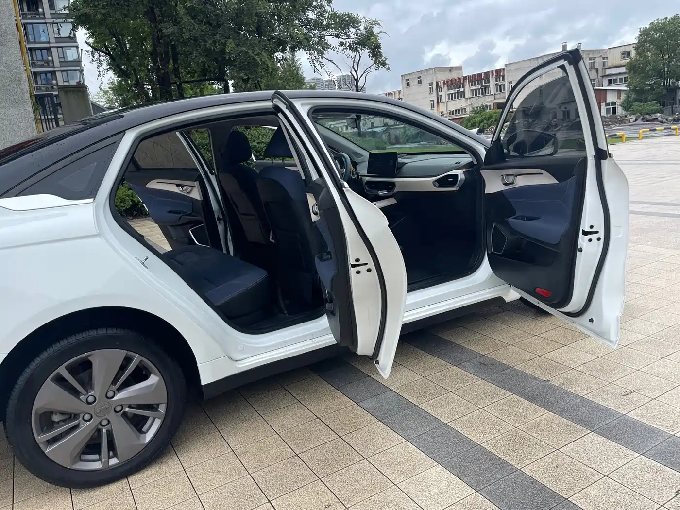Venucia D60EV 2021 2020 Standard Range Smart Edition