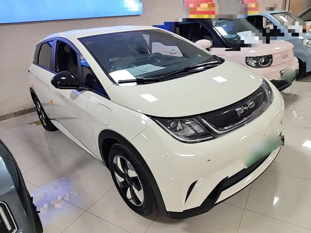 BYD Dolphin 2026 2025 420km Freedom Edition