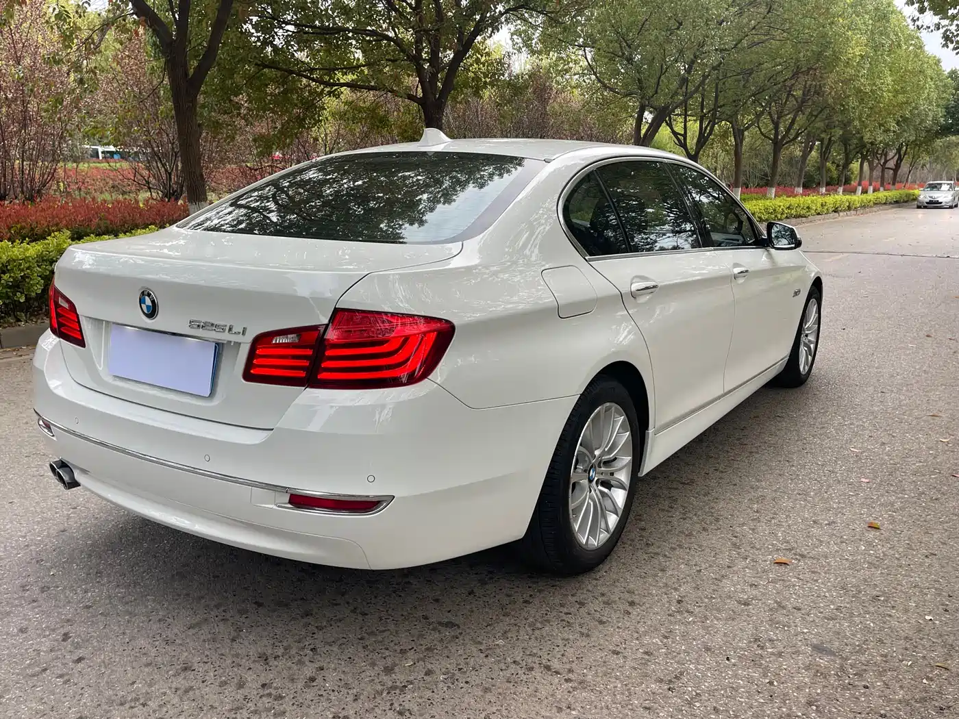 BMW 5 Series 2014 525Li Luxury Design Package фото 16