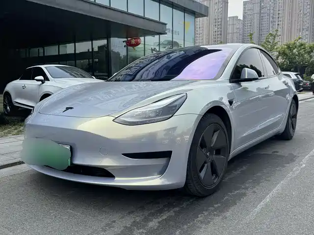 Tesla Model 3 2021 Facelift Standard Range RWD Upgrade 3D1
