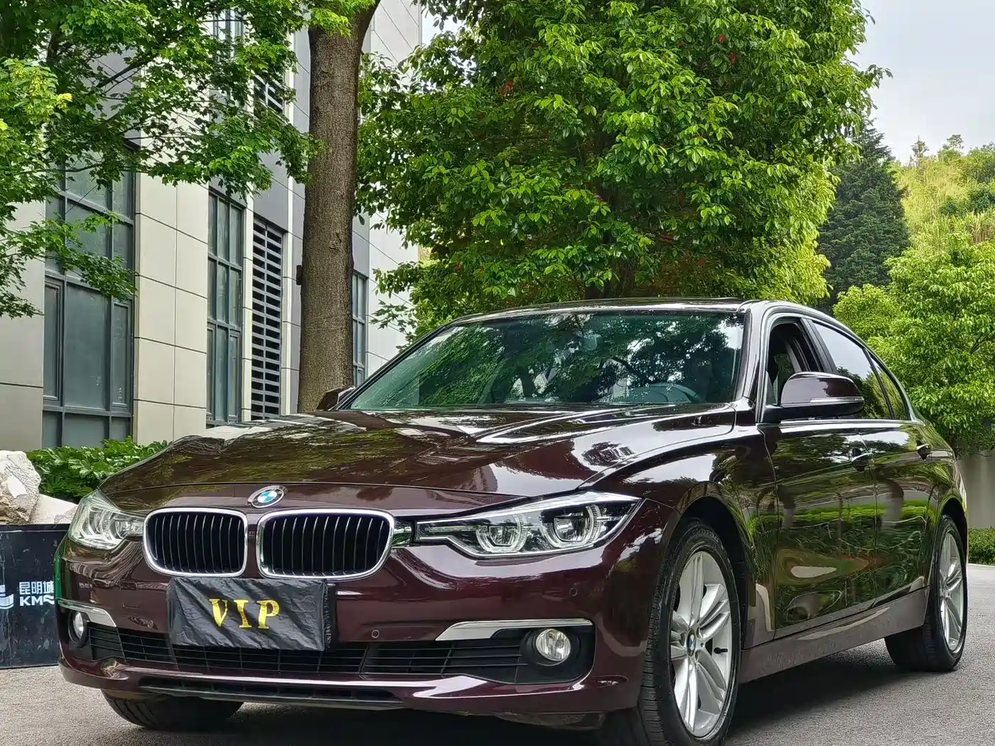 BMW 3 Series 2016 320Li Fashion Model