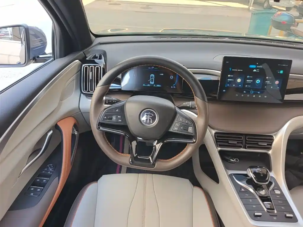 BYD Song Pro New Energy 2022 DM-i 51km Luxury фото 11