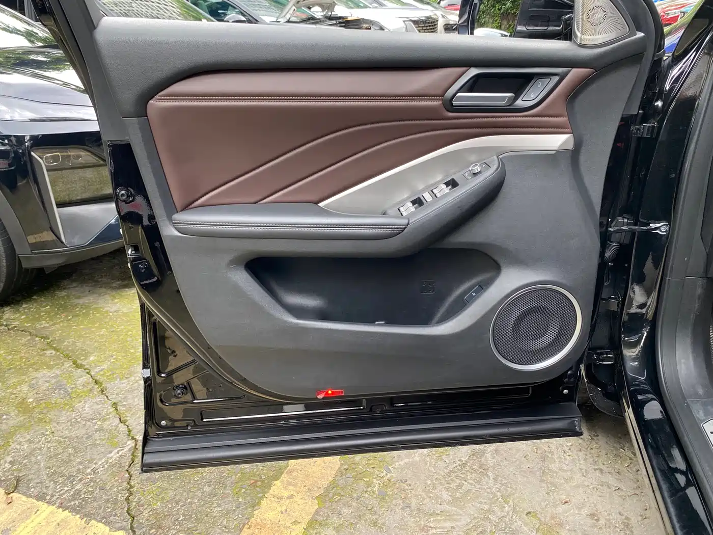 WEI PAI WEI BRAND VV6