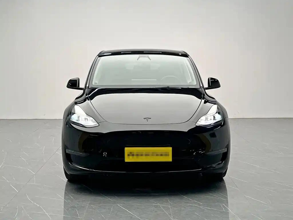 Фото 2 - Tesla Model Y