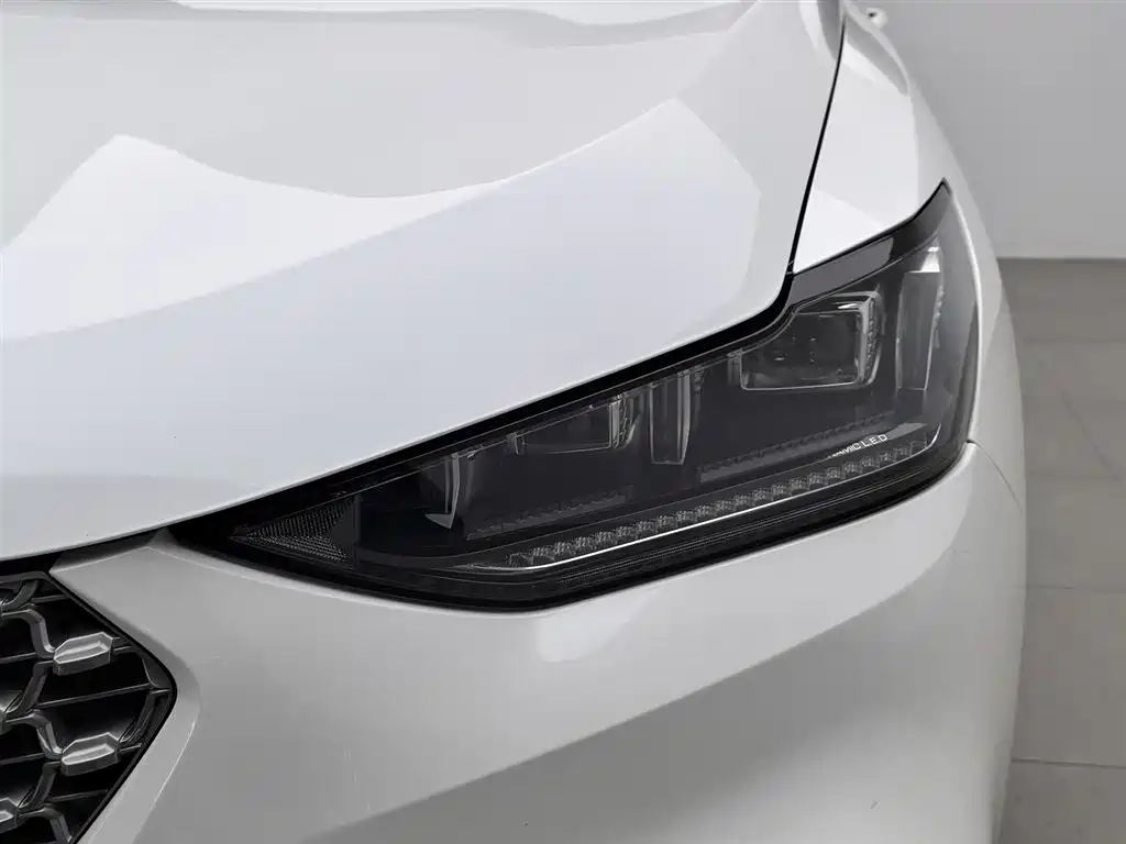 WEI PAI WEI BRAND VV6