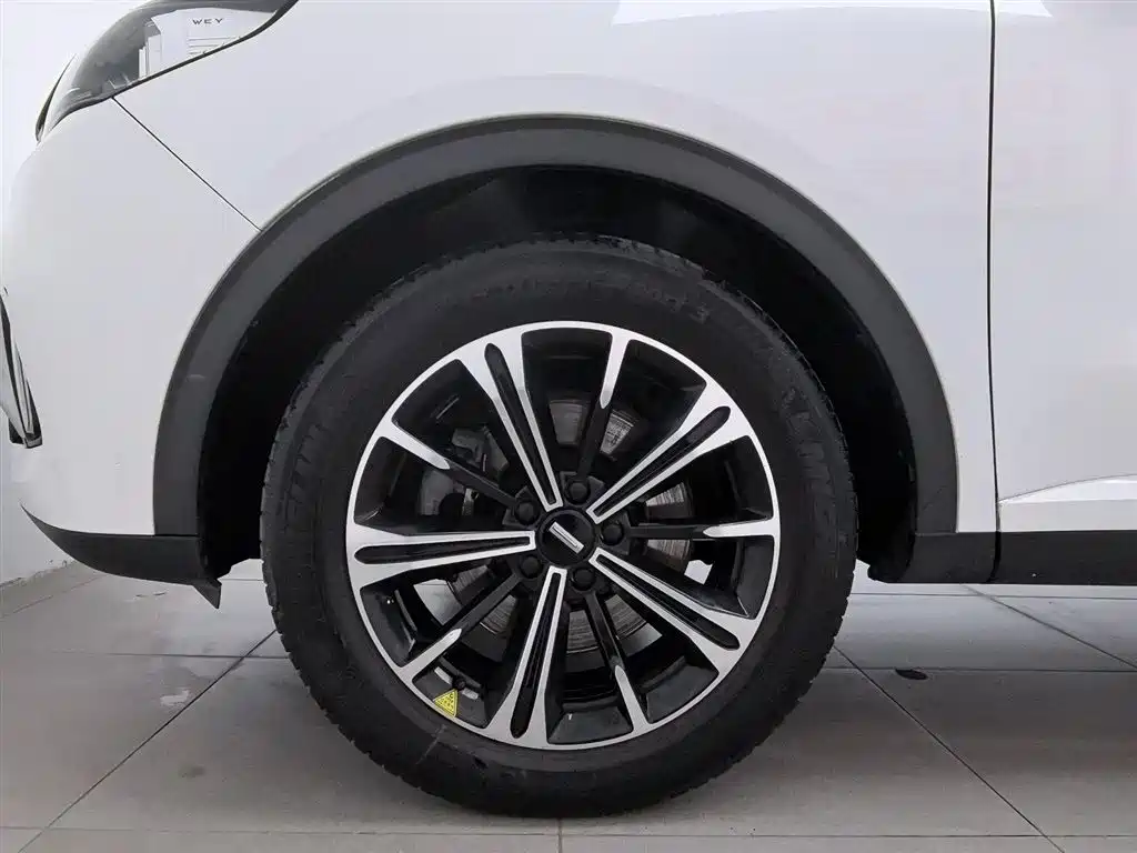 WEI PAI WEI BRAND VV6