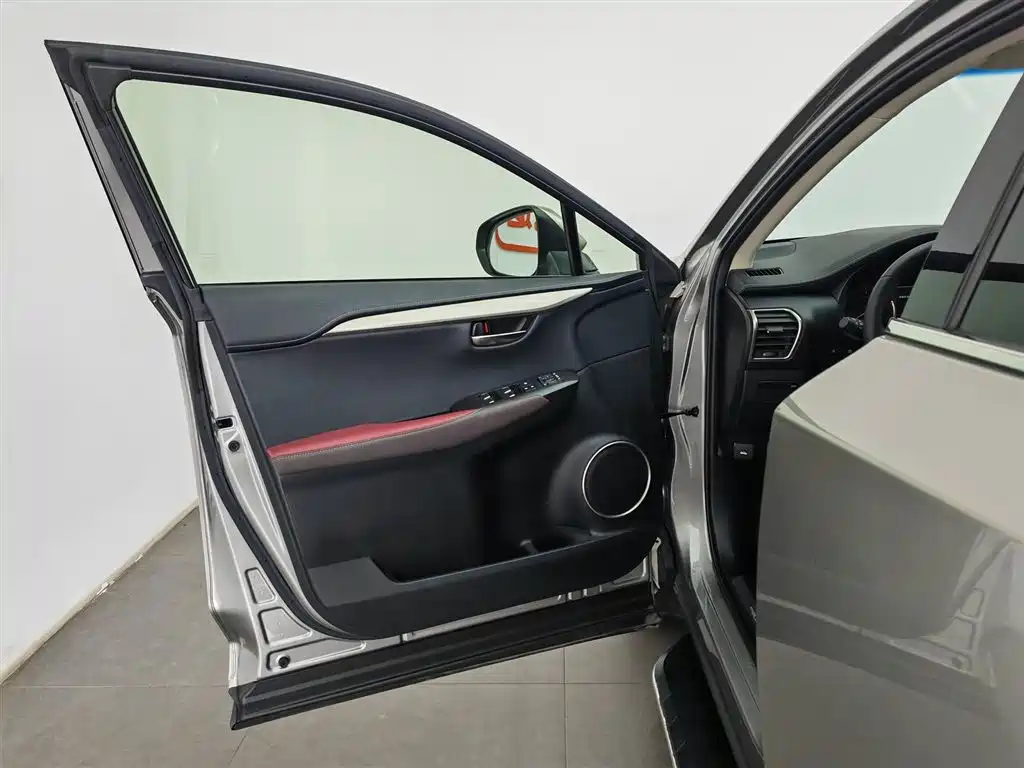 Lexus NX 2018 Model 300 FWD Fengxing Edition фото 8