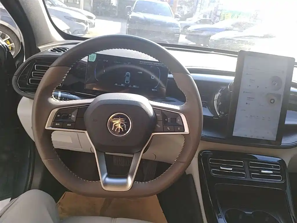 BYD Qin PLUS 2024 Glory Edition DM-i 55KM Leading фото 11