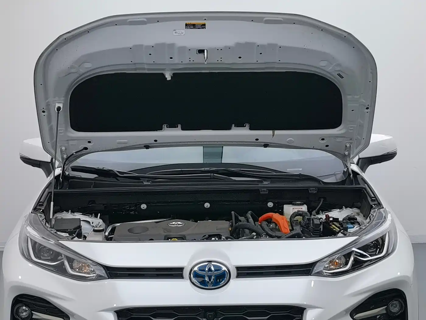 TOYOTA WILANDA