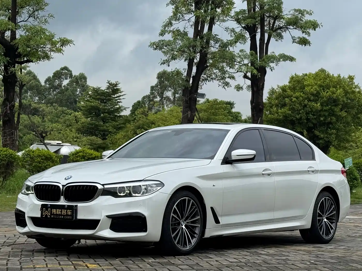 BMW 5 Series 2019 Facelift 530Li Leading M Sport Package