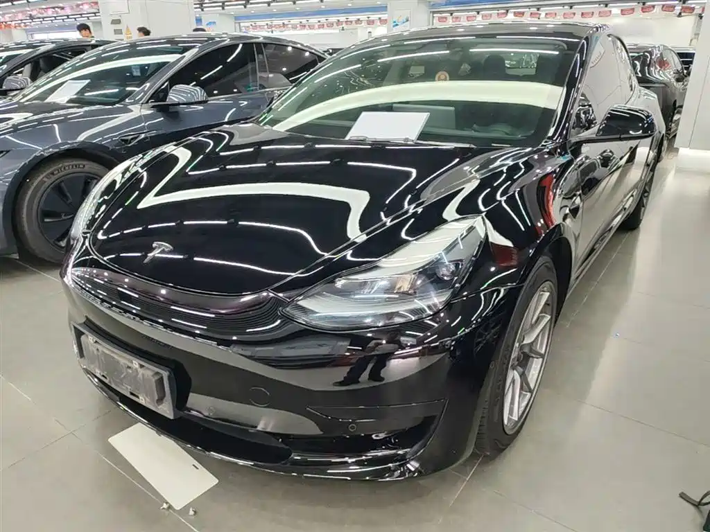 Tesla Model 3 2021 Facelift Standard Range RWD Upgrade 3D1