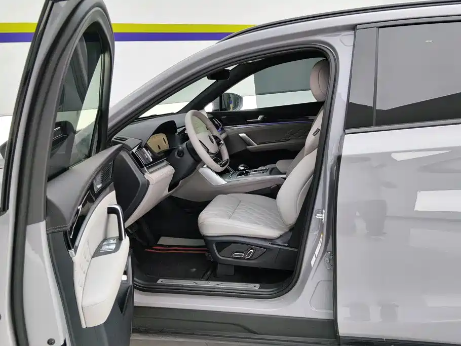 BYD Tang New Energy 2025 2025 DM-i 115KM Prestige Type