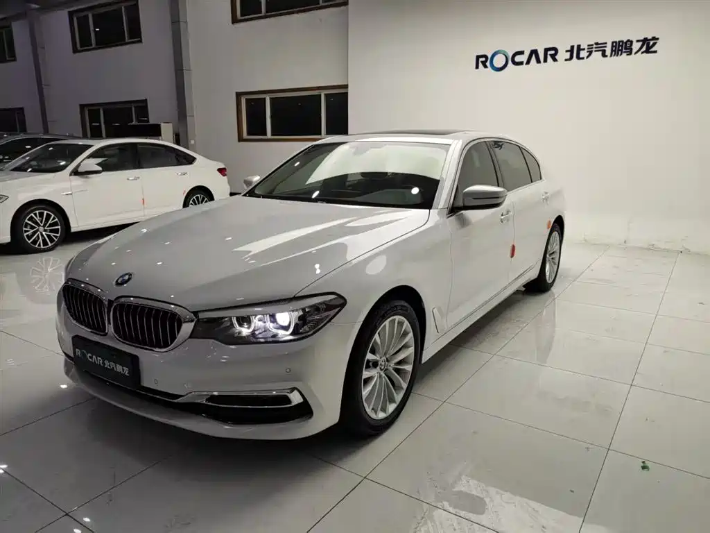 BMW 5 Series 2019 530Li Leading Luxury Package фото 23