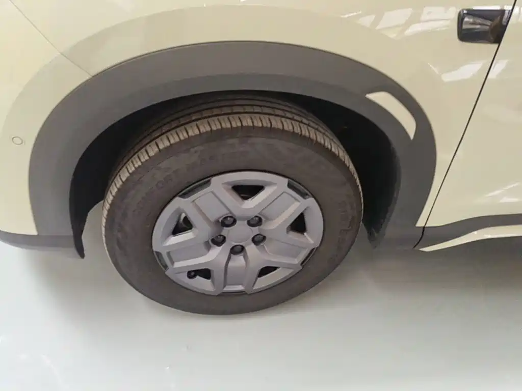 BYD Yuan UP 2025 2025 Smart Drive Edition 401KM Vitality Version