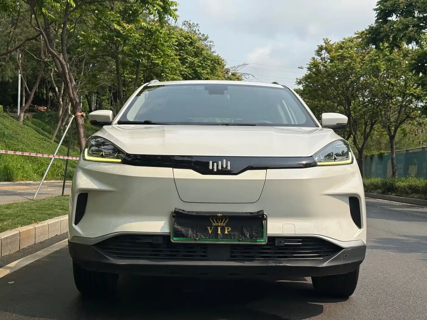 WEIMA AUTOMOBILE WEIMA EX5