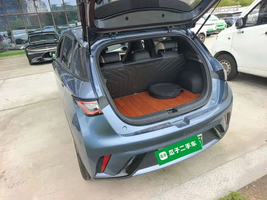 2026 BYD Dolphin