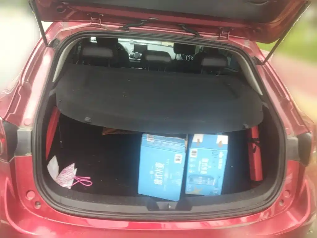 صورة 20 - Mazda Mazda 3