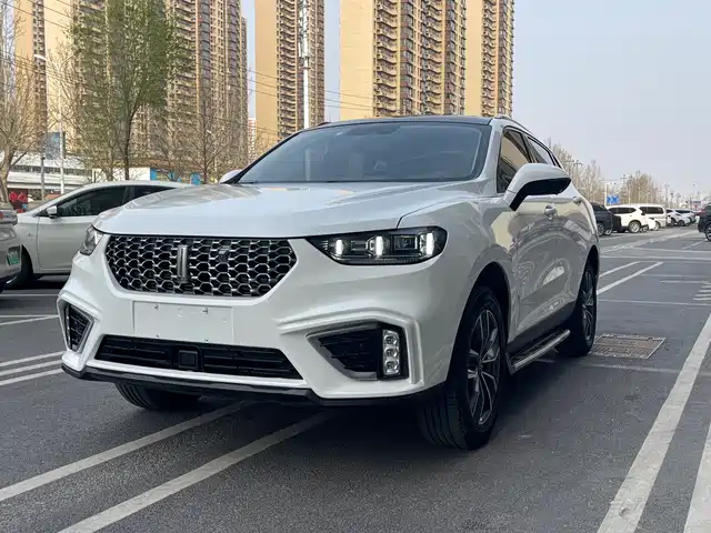 WEI PAI WEI BRAND VV5