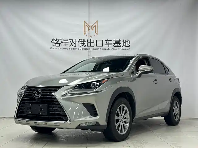Lexus NX 2020 200 AWD F Sport China V — фото 1