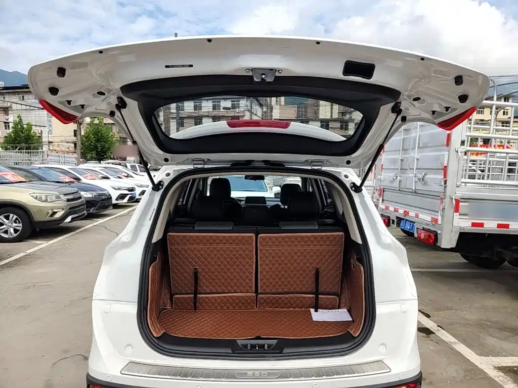 Dongfeng Fengguang Fengguang 580 2020 2021 ☆Star Edition 1.5T Automatic Luxury