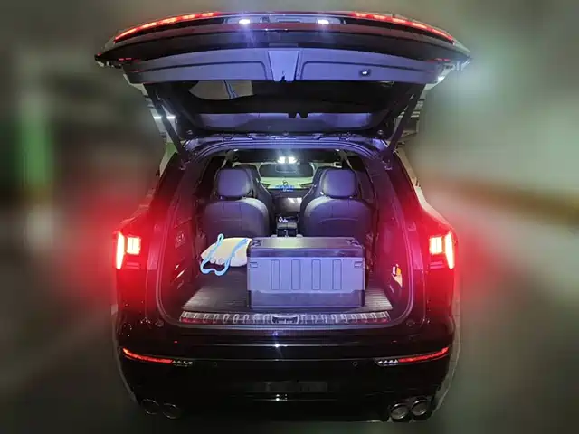 Lynk & Co 09 EM-P 2021 2.0T PHEV Halo 6-seater — фото 5