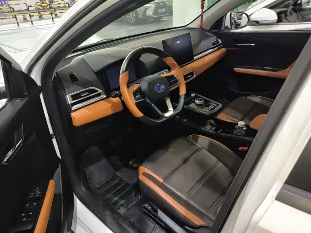 BYD e2 2021 2021 Luxury Edition