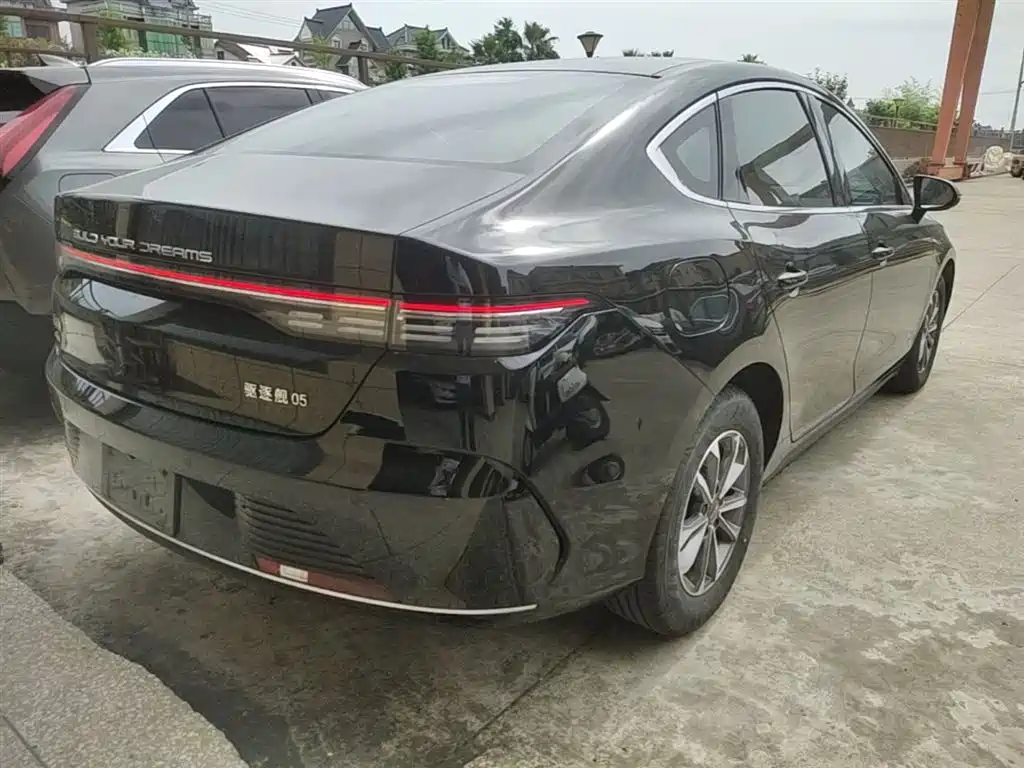 BYD Destroyer 05 2024 Glory Edition DM-i 55KM Luxury фото 7