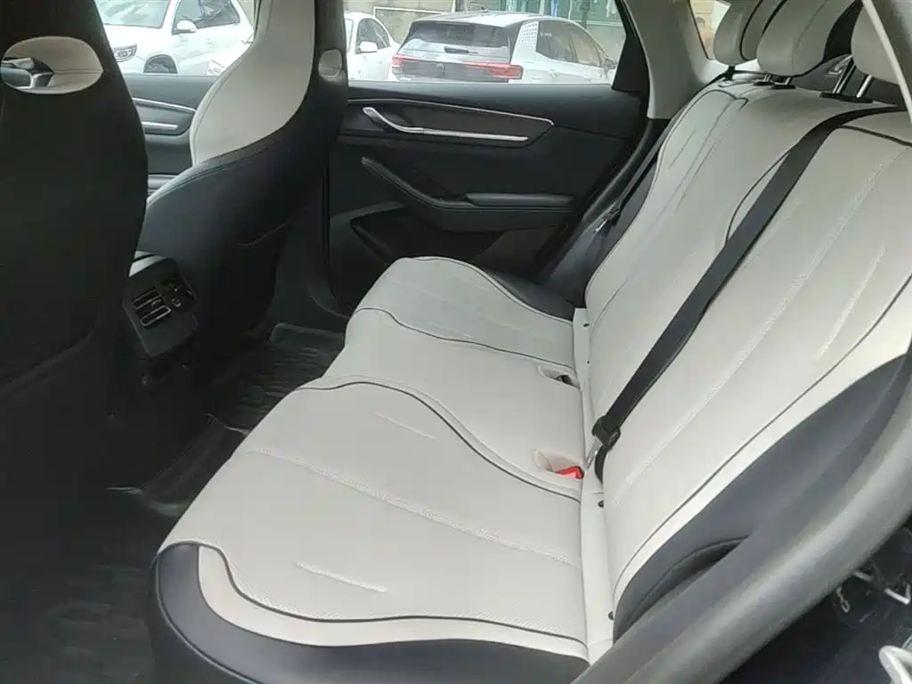 BYD Destroyer 05 2024 Glory Edition DM-i 55KM Luxury фото 17