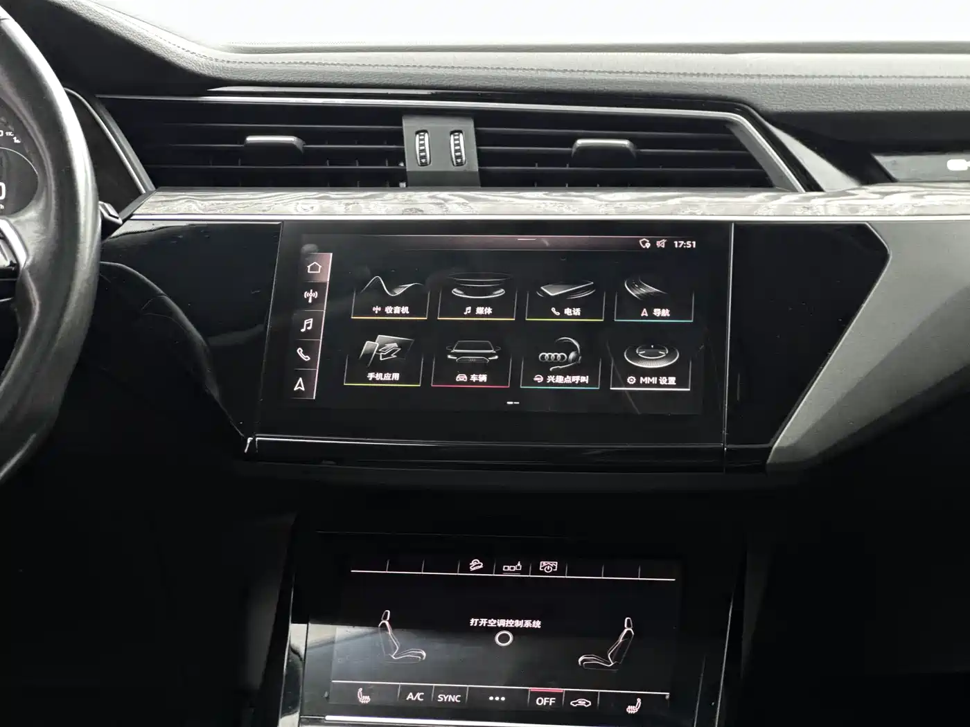 Audi e-tron (Import) 2019 55 quattro Technology фото 9