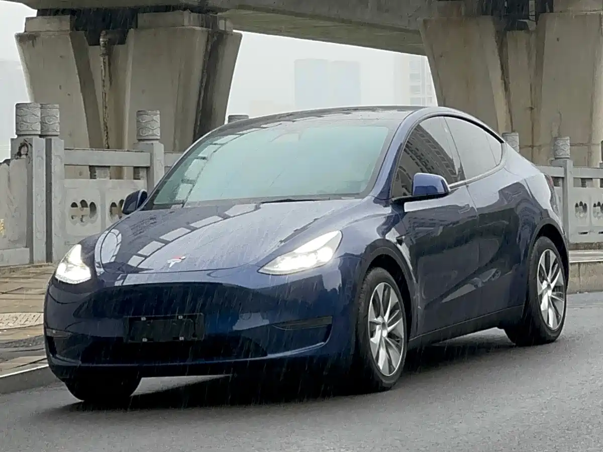 Tesla Model Y 2021 Standard Range Rear-Wheel Drive