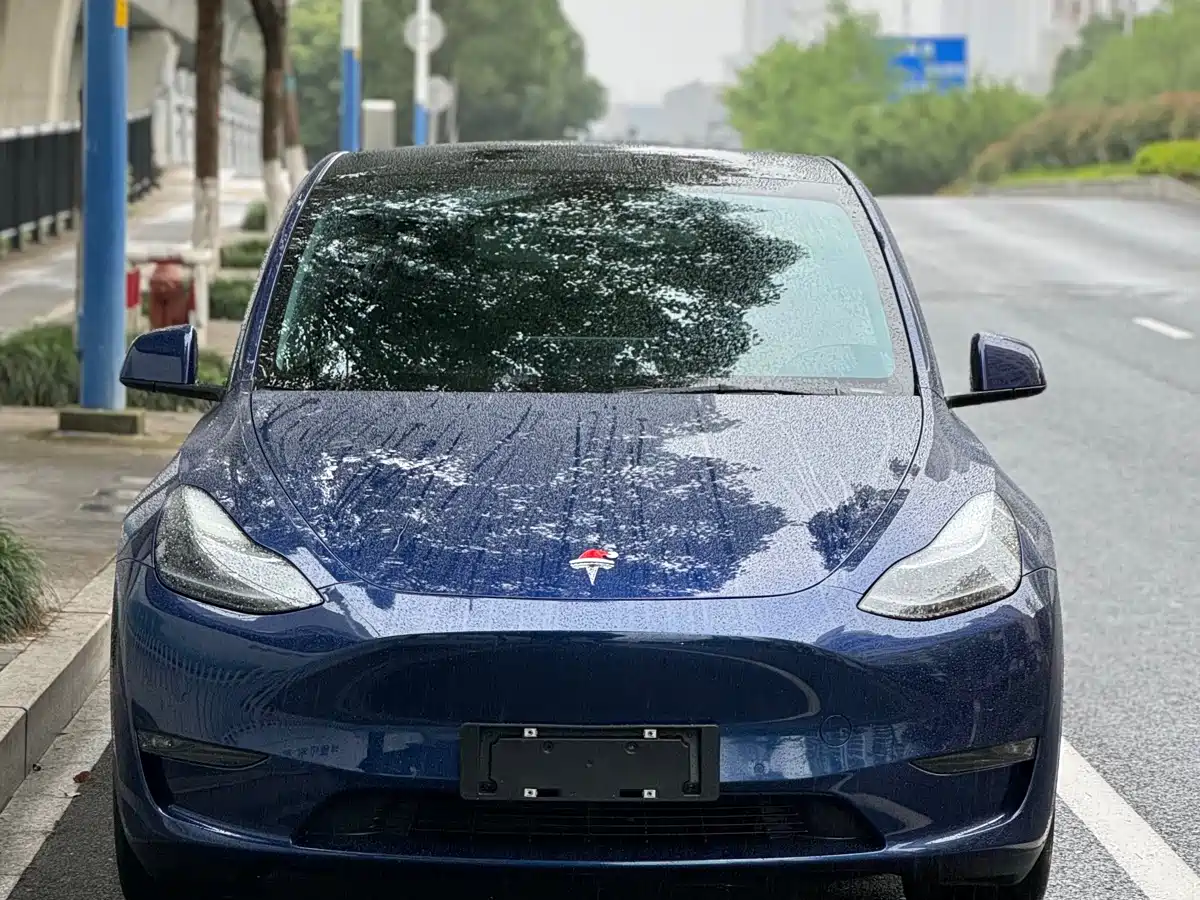 Фото 2 - Tesla Model Y