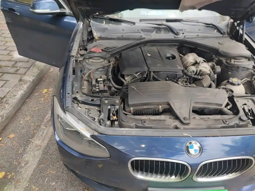 BMW 1 Series (Import) 2013 Facelift 116i Leading Model фото 21