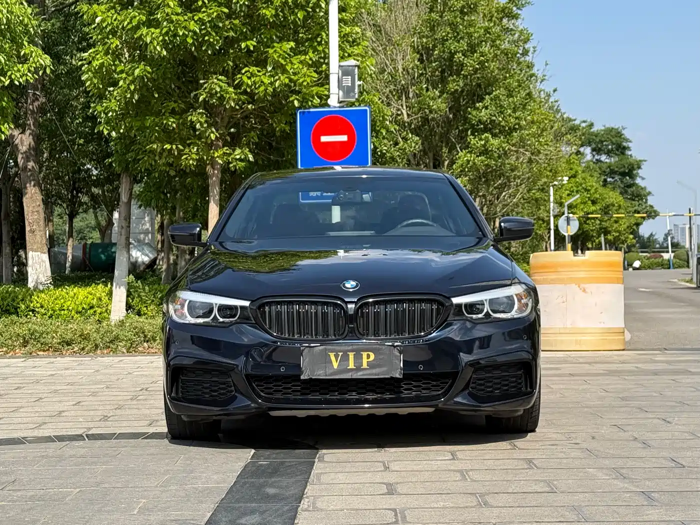 BMW 5 Series 2019 Facelift 530Li Leading M Sport Package фото 2