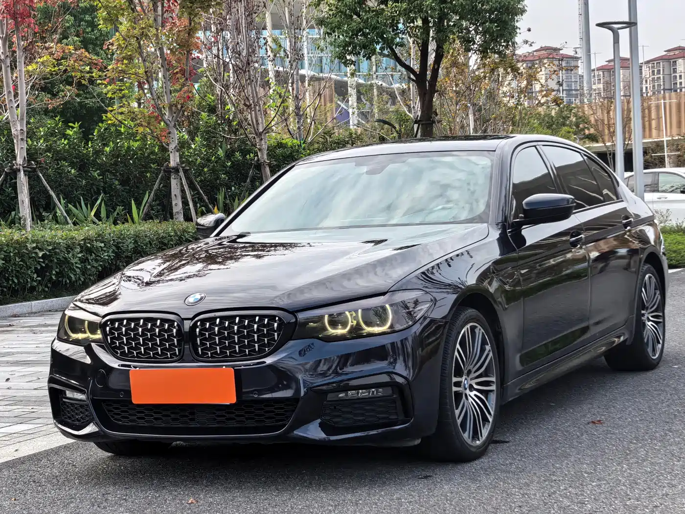 BMW 5 Series 2019 530Li Leading M Sport Package