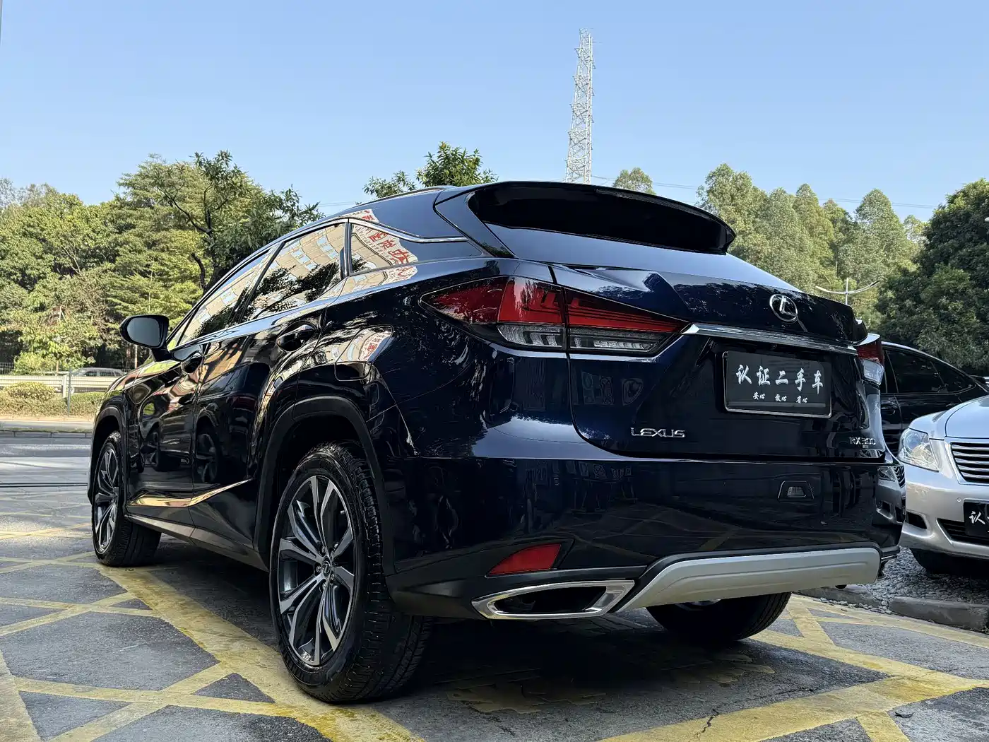 LEXUS RX