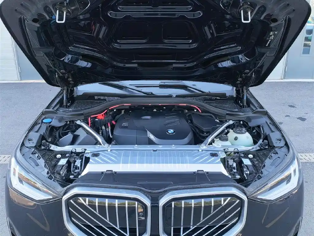 BMW X3 2025 xDrive30L Leading Model M Sport Black Package фото 7