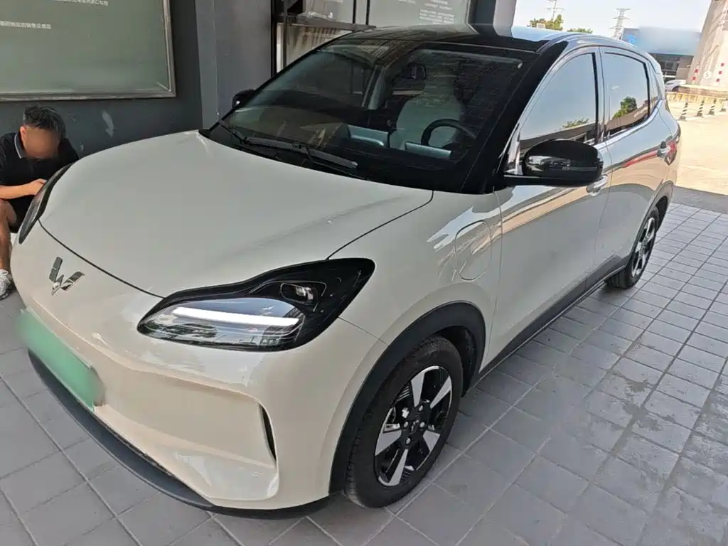 Wuling Motors Wuling Binguo PLUS 2025 2024 Model 330km 5-Seater