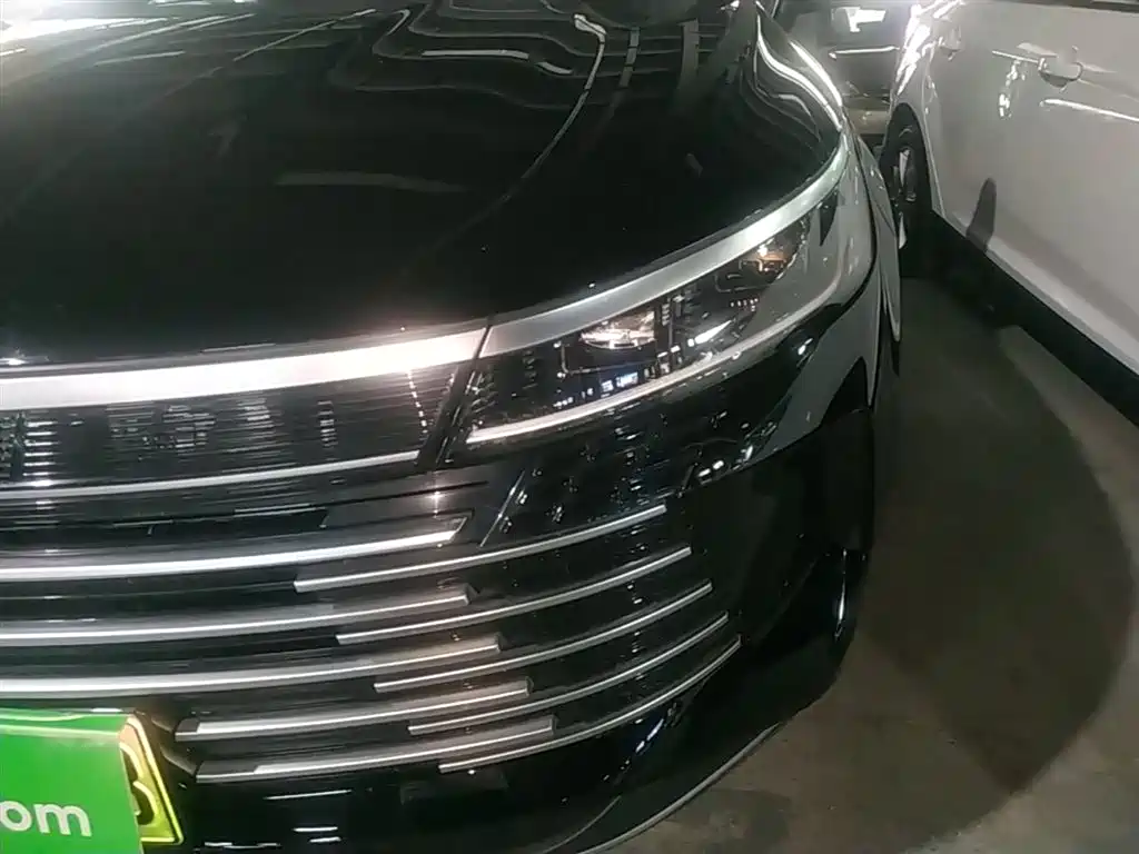 BYD Destroyer 05 2024 Glory Edition DM-i 55KM Luxury фото 24