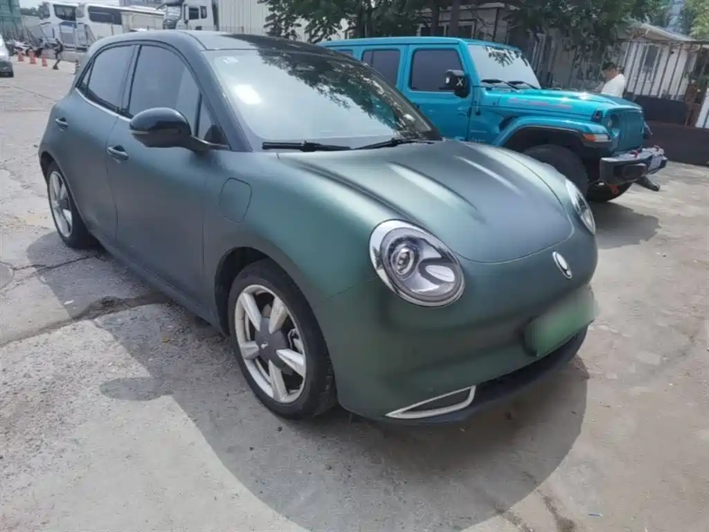 Ora Good Cat 2021 2021 400km Standard Range Athena Edition (LFP)