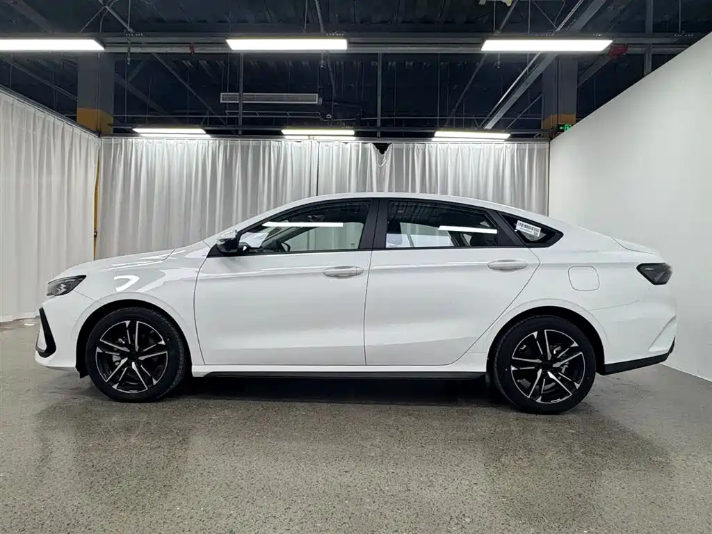 GEELY AUTOMOBILE BINRUI