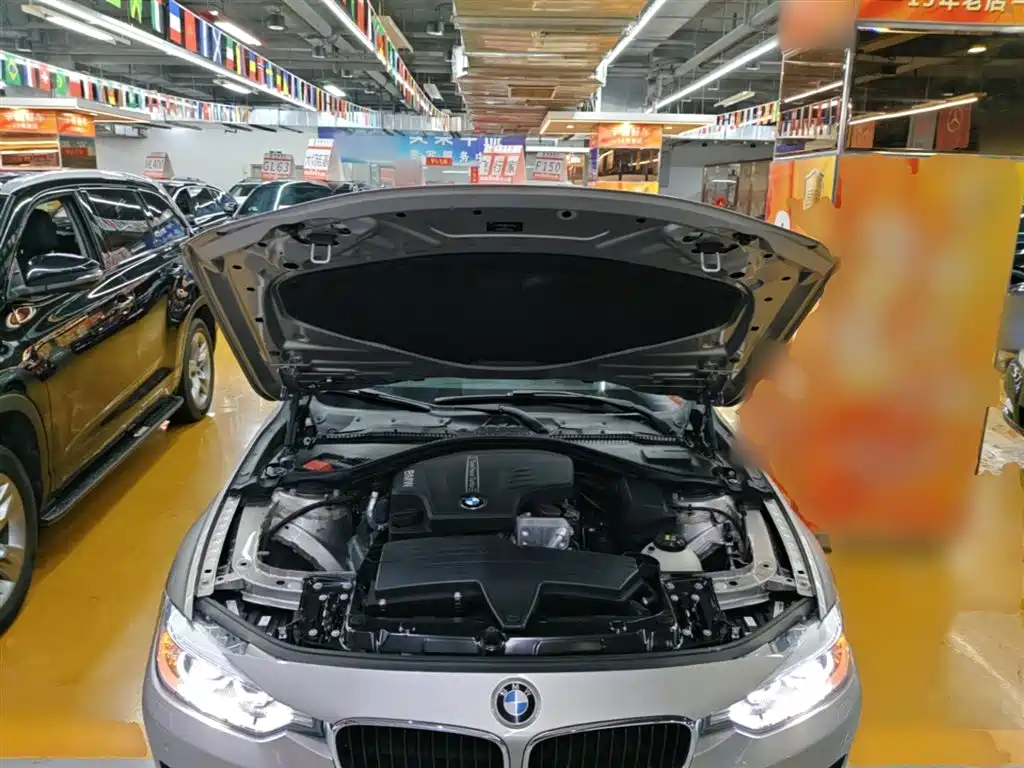 BMW 3 Series 2014 320Li Fashion фото 20